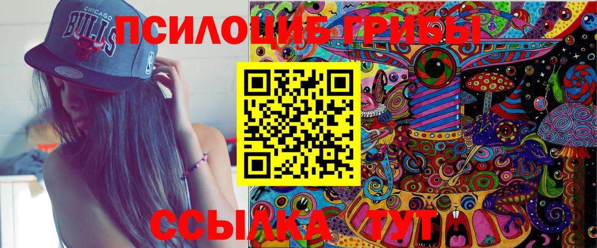Псилоцибиновые грибы Psilocybine cubensis Калач-на-Дону