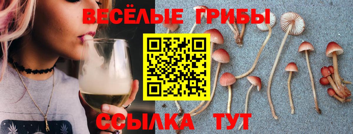 Галлюциногенные грибы GOLDEN TEACHER  Вход с VPN  Калач-на-Дону 